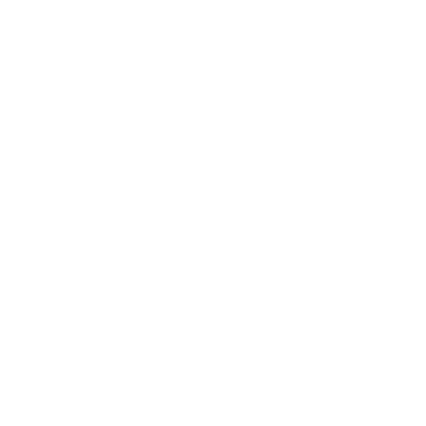 Peroni Logo