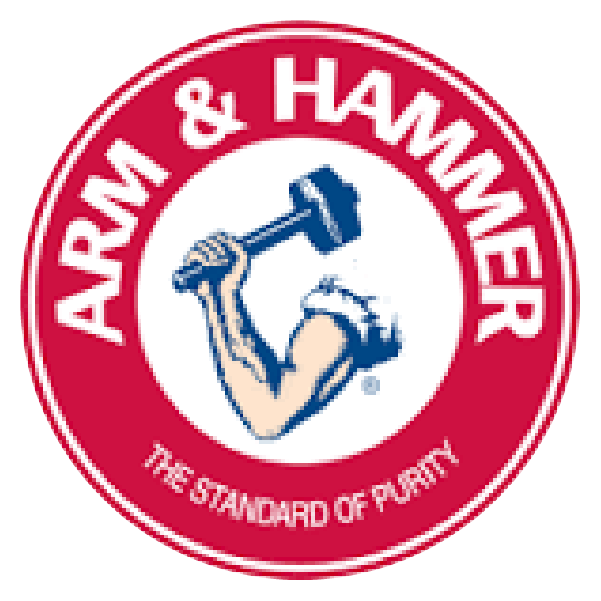 Hammer Logo